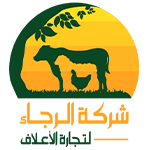 الرجاء